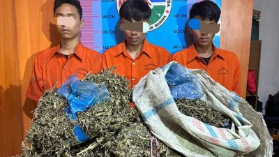 Aksi Kejar Kejaran Warnai Penangkapan Tiga Warga Sumbar Yang Bawa Ganja