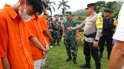 Kapoldasu dan Pangdam I/BB Pimpin Operasi Perburuan Ladang Ganja Terluas di Pulau Sumatera