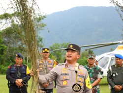 150 Hektar Ladang Ganja Yang Ditemukan oleh Polda Sumut Menggunakan Teknologi Citra Satelit