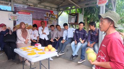 Soft Launching Edu-Eco Tourism Mangoes Center RU VI Balongan