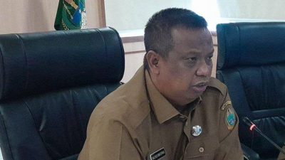 Ini Kata Mulyadi Simatupang Terkait PETI Kotanopan