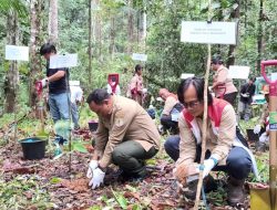 Peringati Hari Menanam Pohon Indonesia, SKK Migas-Pertamina EP Papua Raih Penghargaan