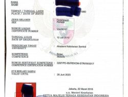 STR Diduga Mati, Bidan Lolos Verifikasi Berkas Dan Lulus PPPK 2023, Tanggungjawab Siapa ? 