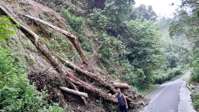 Jalan Lintas Langkat-Tanah Karo Longsor Timbun Setengah Badan Jalan, Ketua SMSI: Pemprovsu Diminta Turun Tangan