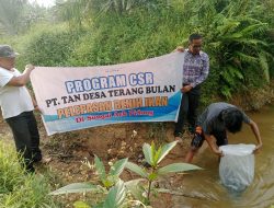 Peduli Lingkungan, PT TAN Lepas 2000 Benih Ikan di Aliran Sungai Aek Pidong