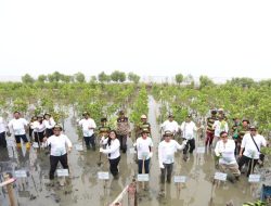 Jaga Kelestarian Lingkungan, PT Pertamina EP Zona 7 Kembangkan Hutan Mangrove