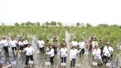 Jaga Kelestarian Lingkungan, PT Pertamina EP Zona 7 Kembangkan Hutan Mangrove