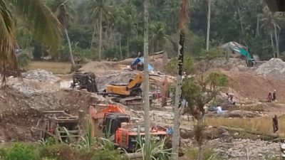 Camat Kotanopan Bantah Hasil Laporannya ke Bupati Madina Terkait Jumlah Excavator