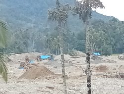 Peti Beroperasi lagi, Polres Madina Diminta Tertibkan