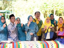 Tim Penilai TP PKK Sumut Monitoring Pelaksanaan Tertib Administrasi PKK, PAAR, UP2K PKK, Hatinya PKK, dan Iva Test