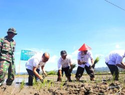 Nikson Nababan ‘Sulap’ Rawa-rawa Jadi Kolam Ikan Masyarakat Desa