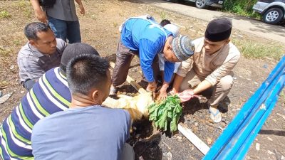 SMSI Madina Terima Hibah 2 Ekor Kambing dari Pemkab Madina