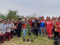 Tanamkan Kepedulian Lingkungan, Kilang Balongan Lakukan Penanaman Pohon Cemara Laut