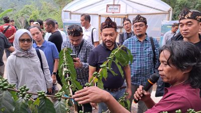 Berdayakan Ekonomi Masyarakat, PHE Dukung Budidaya Kopi Puntang