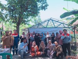 Pertamina Patra Niaga Regional Jawa Bagian Barat Berdayakan Kelompok Wanita Tani Lewat Budidaya Bayam