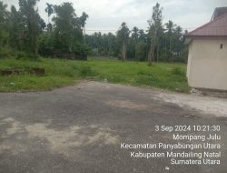 Barang Bukti Alat Berat Peti Kotanopan Tiba Tiba Raib di Polres Madina
