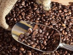 Petani Kopi Kecewa, Harga Kopi Mandailing Tidak Sesuai Yang Dijanjikan