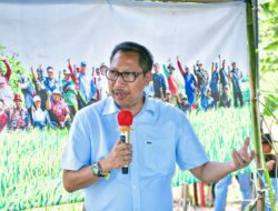 Indramayu Berhasil Memanen Padi Organik Hingga Menjadi Percontohan Nasional