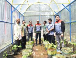 Pertamina Patra Niaga SHAFTHI Sukses Luncurkan Greenhouse Sirih, Solusi Inovatif untuk Produksi Daun Sirih di Mekarsari