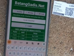 Penyedia Jasa Internet Diduga Ilegal Marak Beroperasi di Madina