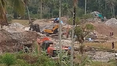 Pemda Bertanggung Jawab Atas Peti di Madina