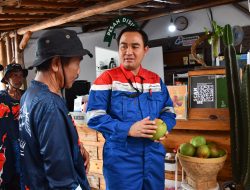 General Manager Kilang Balongan Belajar Bahasa Isyarat Hingga Takjub dengan Mangga Agrimania Asal Indramayu