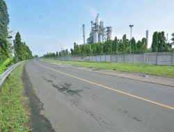 Pertamina akan hijaukan Sisi Jalan Desa Sukareja dengan tanam 6.900 Pohon