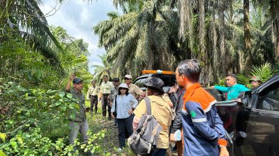 PLN dan BKSDA Jalin Kemitraan Emas, Perkuat Infrastruktur Listrik di Kalimantan Selatan