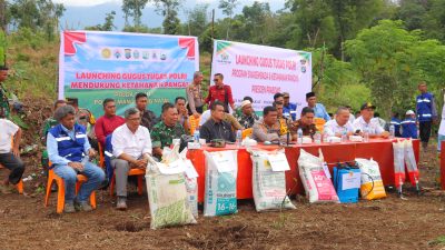 Program Ketahanan Pangan Presiden Prabowo, Polres Madina dan TNI Mulai Tanam Bibit Jagung