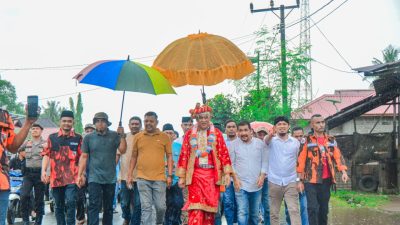 Harun Mustafa Diarak Warga Batahan Menggunakan Pakaian Adat Pesisir