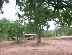 Diduga Mantan Camat Salahgunakan Fungsi Tanah Pangonan Di Desa Temiyangsari