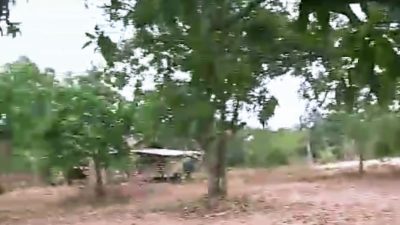 Diduga Mantan Camat Salahgunakan Fungsi Tanah Pangonan Di Desa Temiyangsari