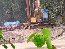 Tambang Emas Ilegal MBG Meresahkan