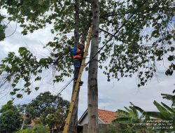 PLN Indramayu Tanggap Cepat Atasi Kabel  Listrik  di Perumahan Griya Ayu