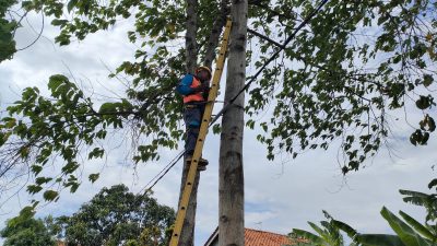 PLN Indramayu Tanggap Cepat Atasi Kabel Listrik di Perumahan Griya Ayu
