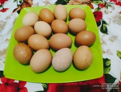 Telur Naik, Kue Natal Terancam Mahal! Pedagang Keluhkan Kenaikan Harga