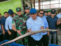 Menteri KKP Pastikan Ketersediaan Ikan Aman Jelang Nataru