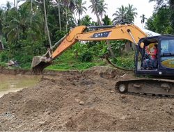 Reklamasi Tahap II Bekas Areal Tambang Emas Ilegal di Kotanopan Berjalan