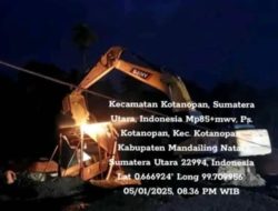 Misteri PETI Kotanopan: Siapa di Balik Aktivitas Ilegal Itu? 