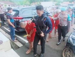 Komplotan Spesialis Maling Kerbau Dibelit Jerat Hukum, Operasi Senggol di Saketi Berhasil!