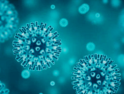 Virus HMPV di Indonesia, Hoaks, atau Fakta?