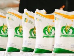Pemerintah Perpanjang Bantuan Beras 10 Kg Hingga 6 Bulan