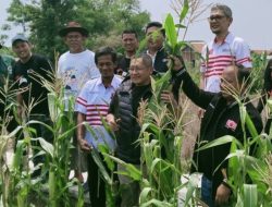 Indramayu Butuh SDM Berkualitas untuk Maju