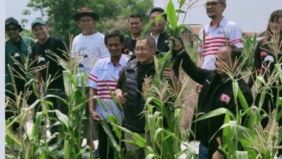 Daerah Indramayu Butuh SDM Berkualitas untuk Maju