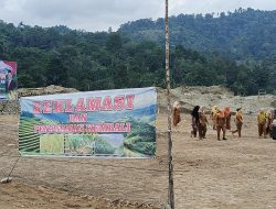 Reklamasi Lahan Bekas Tambang Emas Ilegal di Kotanopan, Ditanami Jagung