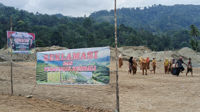 Reklamasi Lahan Bekas Tambang Emas Ilegal di Kotanopan, Ditanami Jagung