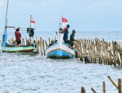 Misteri Terpecahkan: Pagar Laut Raksasa di Tangerang Akhirnya Runtuh