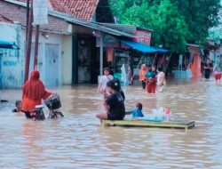 Banjir Dahsyat Landa Cirebon, Ratusan Rumah Tenggelam, Sekolah Lumpuh!