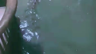 Buaya Teror Warga Saat Banjir