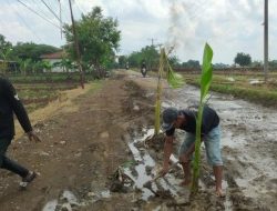 Warga Kesal, Jalan Rusak Diubah Jadi ‘Kuburan’ di Cirebon